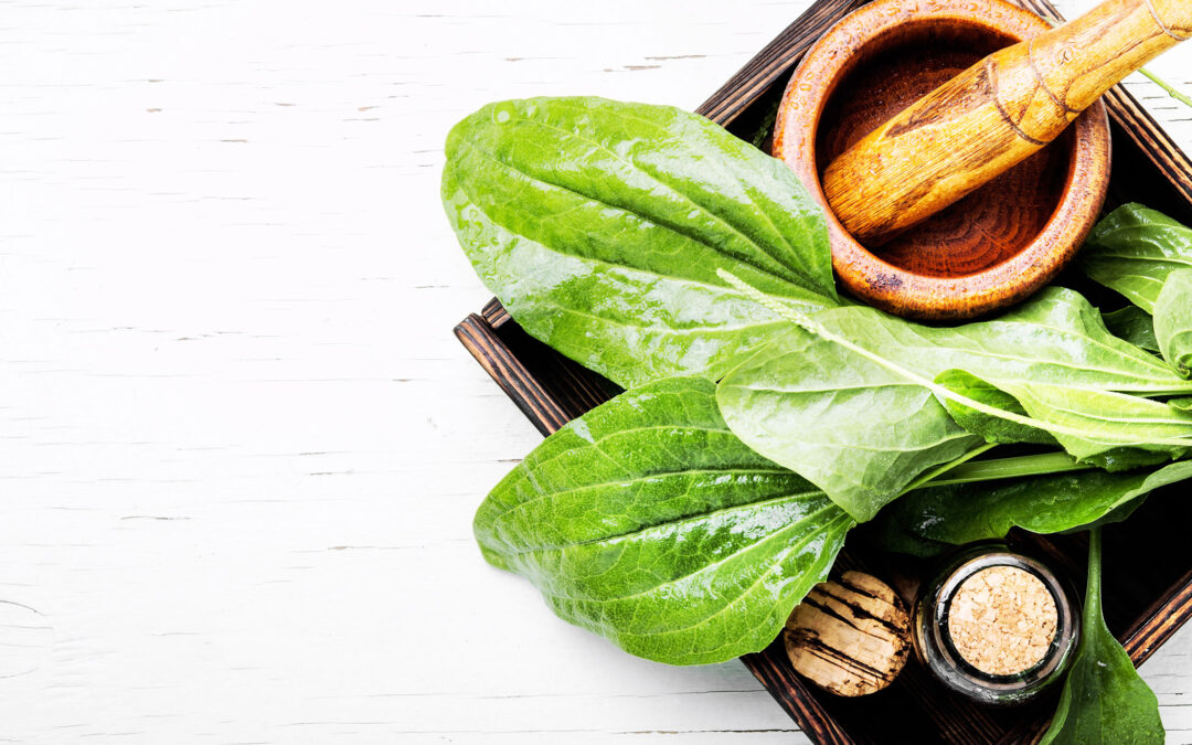 Supporting Cancer Treatment Through Naturopathy And Yoga