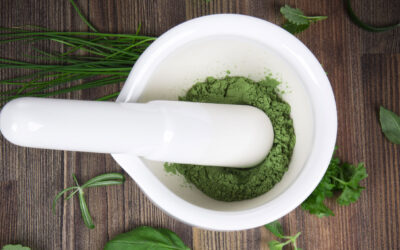 Can Herbal Medicine Help You Manage Type 2 Diabetes?